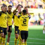 Tor Borussia Dortmund